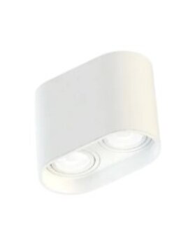 PLAFON TUBE DUPLO SOBREPOR PAR20 BRANCO 1061404 - MOON
